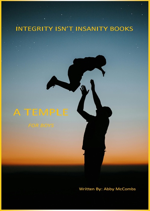 A Temple for Boys Book Cover, featuring a father tossing his son up in the air, standing on a beach at sunset