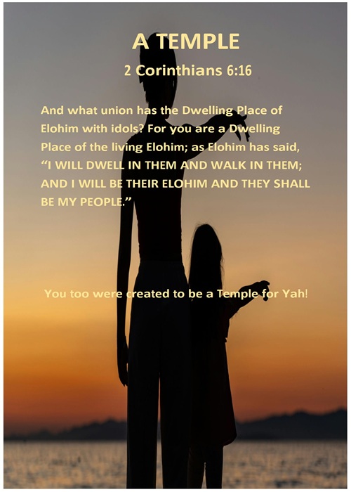 A Temple for Girls Book Cover Jacket, featuring a mother and daughter pointing at the sunset, standing on a beach